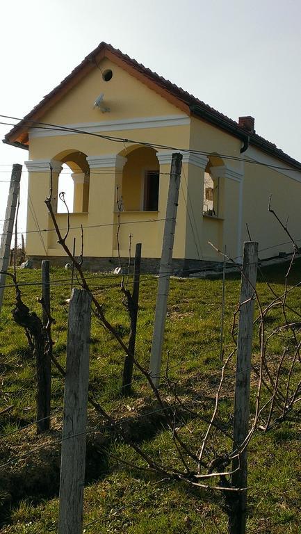 Kellerstoeckl Kamper Villa Csejke Kültér fotó