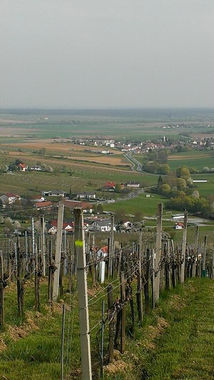 Kellerstoeckl Kamper Villa Csejke Kültér fotó
