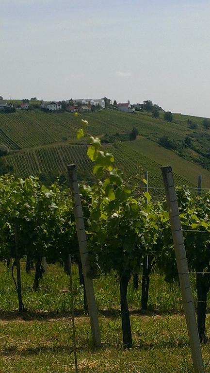 Kellerstoeckl Kamper Villa Csejke Kültér fotó