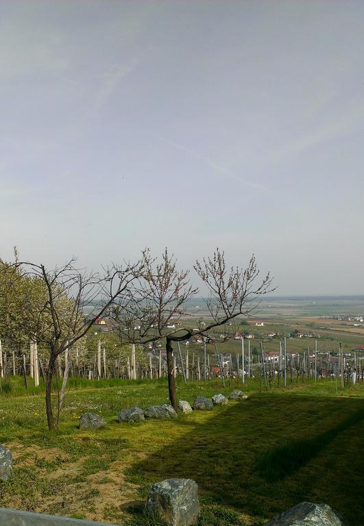 Kellerstoeckl Kamper Villa Csejke Kültér fotó